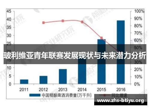 玻利维亚青年联赛发展现状与未来潜力分析