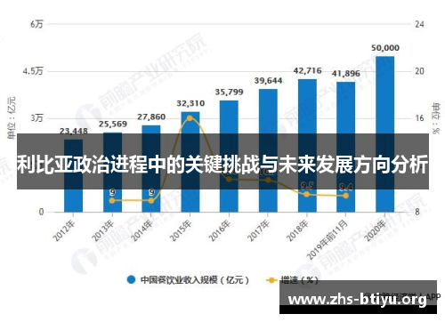 利比亚政治进程中的关键挑战与未来发展方向分析