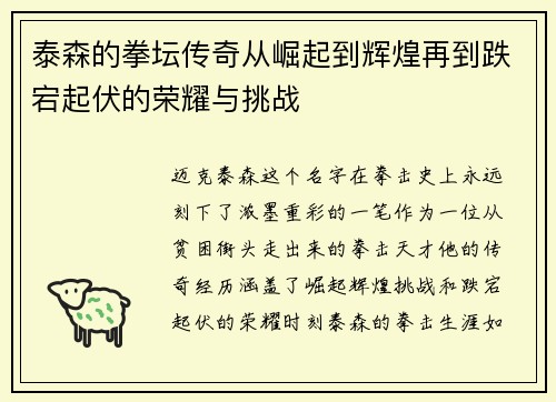 泰森的拳坛传奇从崛起到辉煌再到跌宕起伏的荣耀与挑战