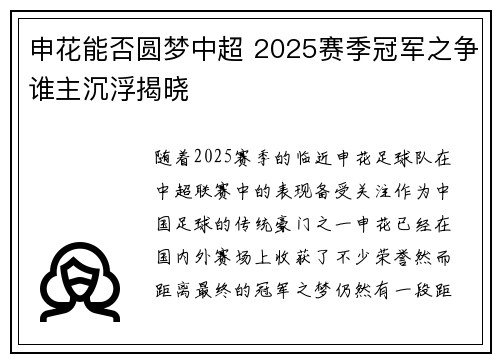 申花能否圆梦中超 2025赛季冠军之争谁主沉浮揭晓