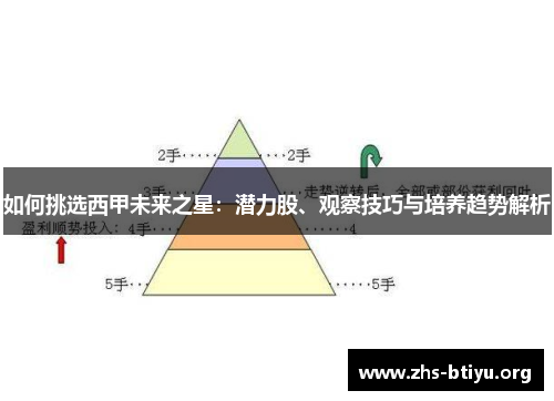 如何挑选西甲未来之星：潜力股、观察技巧与培养趋势解析